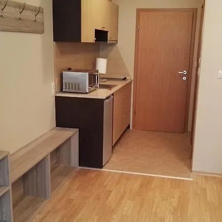 Aspen Studio 202 Apartment